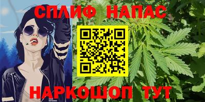 шишки Бузулук