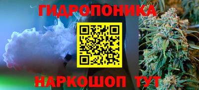 сатива Будённовск
