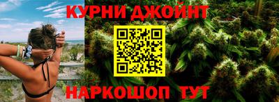 сатива Будённовск