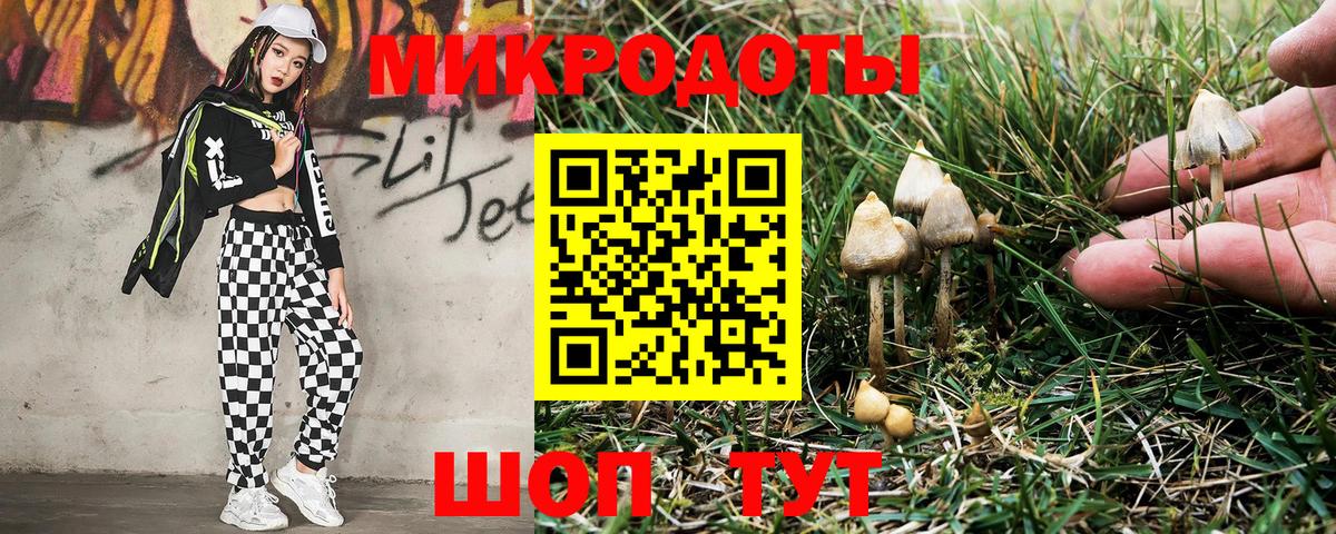 Псилоцибиновые грибы Psilocybe  Вход с VPN  Сатка  Псилоцибиновые грибы ЛСД 